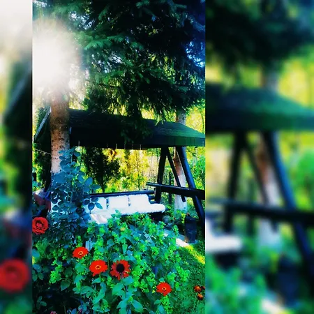 Vendégház Casa Aurora Vámfalu