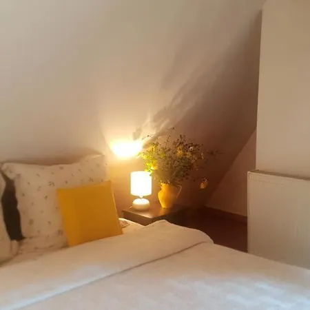 Vendégház Casa Aurora Vámfalu